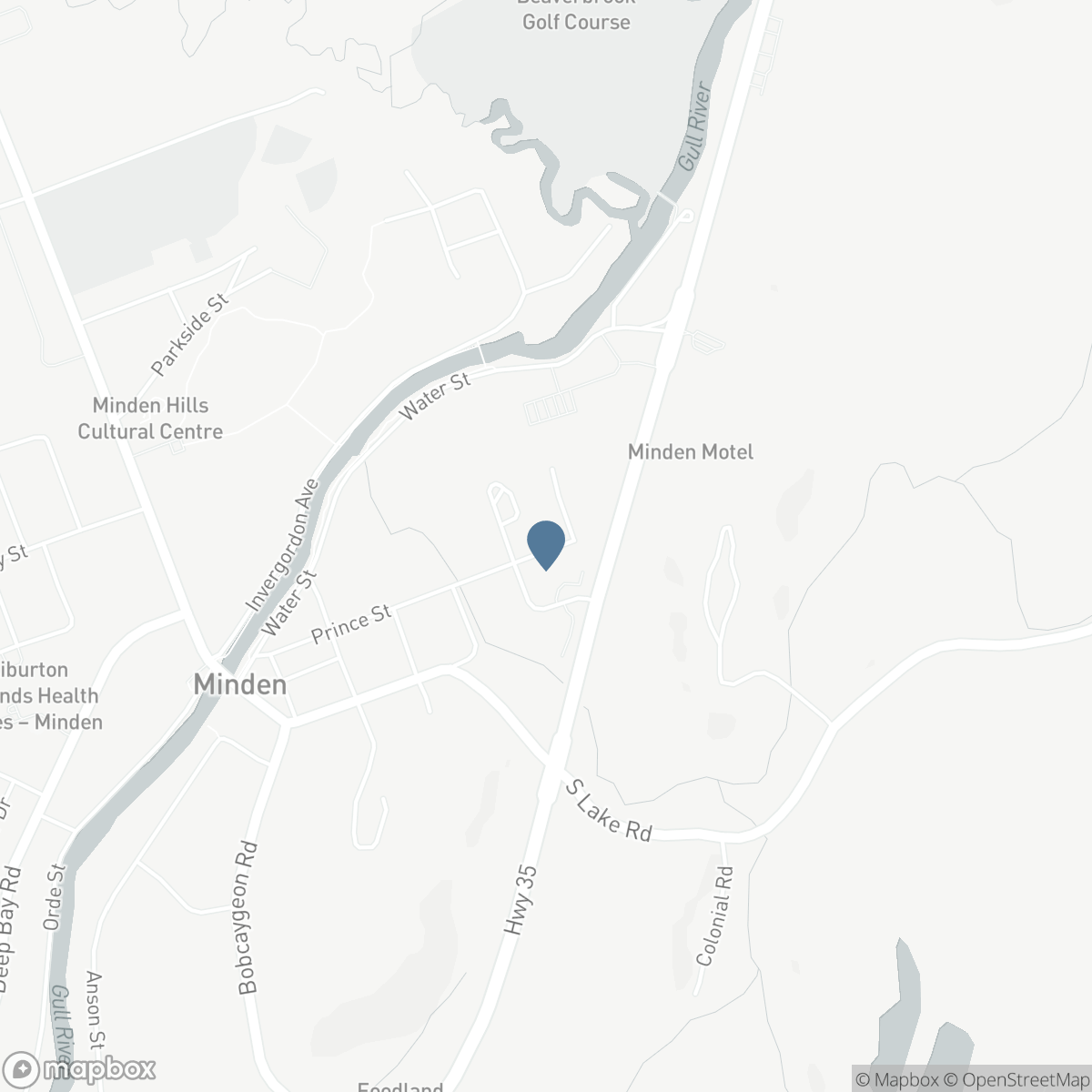 37 PRINCE STREET, Minden Hills, Ontario K0M 2K0